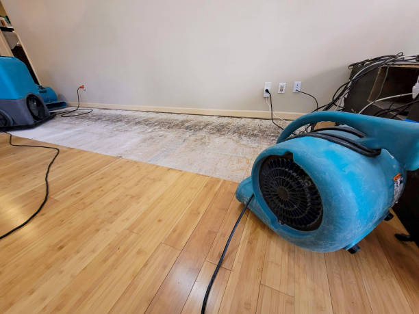 Professional Flood Damage Cleanup technician working in Fombell, PA